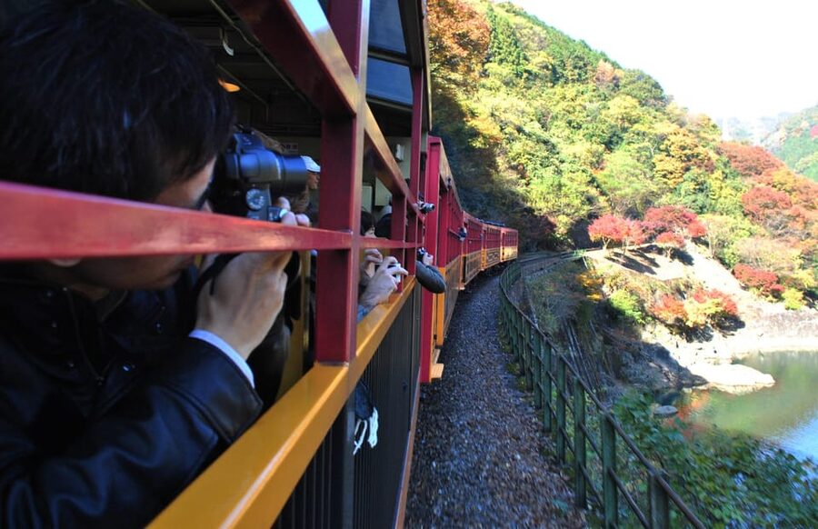 Kyoto: Arashiyama Tour with optional Sagano Romantic Train - Walking through the Arashiyama Bamboo Forest