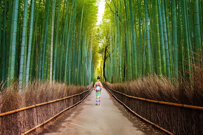 Kyoto Arashiyama Walking Tour: Bamboo, Monkeys, Gardens & Secrets - Starting near Saga-Arashiyama Station