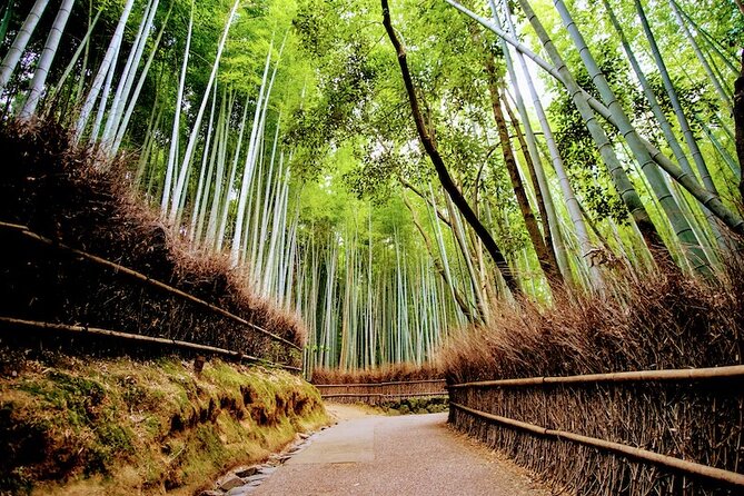 Kyoto Arashiyama Walking Tour: Bamboo, Monkeys, Gardens & Secrets - Okochi Sanso Garden, a peaceful hillside pause