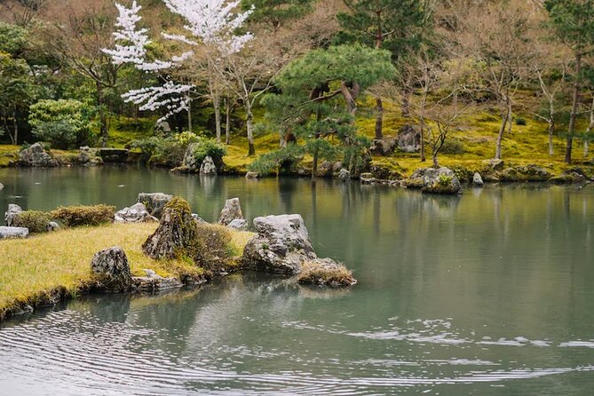 Kyoto Arashiyama Walking Tour: Bamboo, Monkeys, Gardens & Secrets - Tenryuji Garden and the temple setting