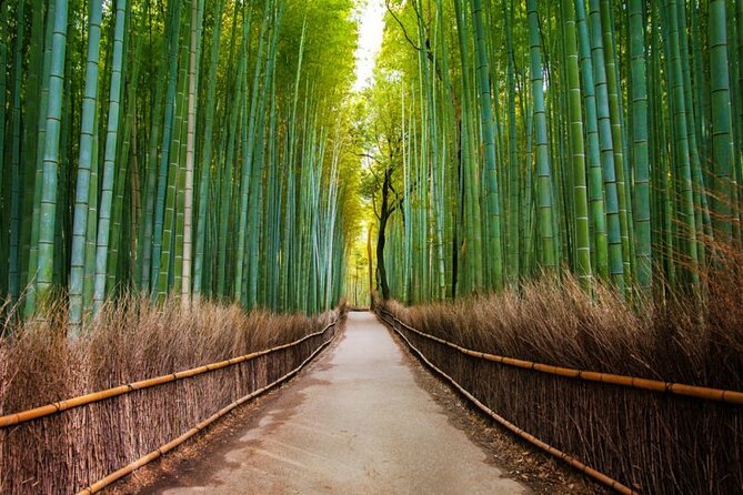 Kyoto Arashiyama Walking Tour: Bamboo, Monkeys, Gardens & Secrets - The climb to Monkey Park Iwatayama