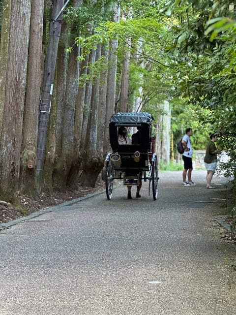 Kyoto: Avoid the Crowds at the Hidden Gems of Arashiyama - What makes this Arashiyama walk special