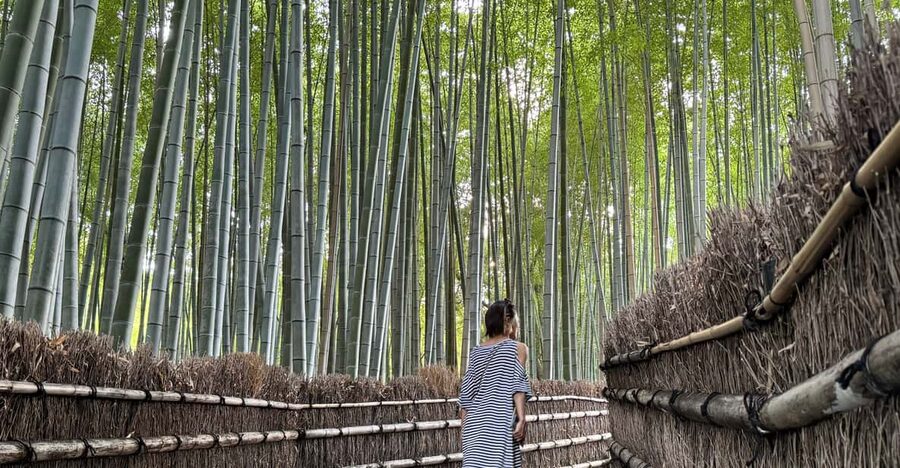 Kyoto: Avoid the Crowds at the Hidden Gems of Arashiyama - Starting beside the Katsura River at Togetsu Bridge