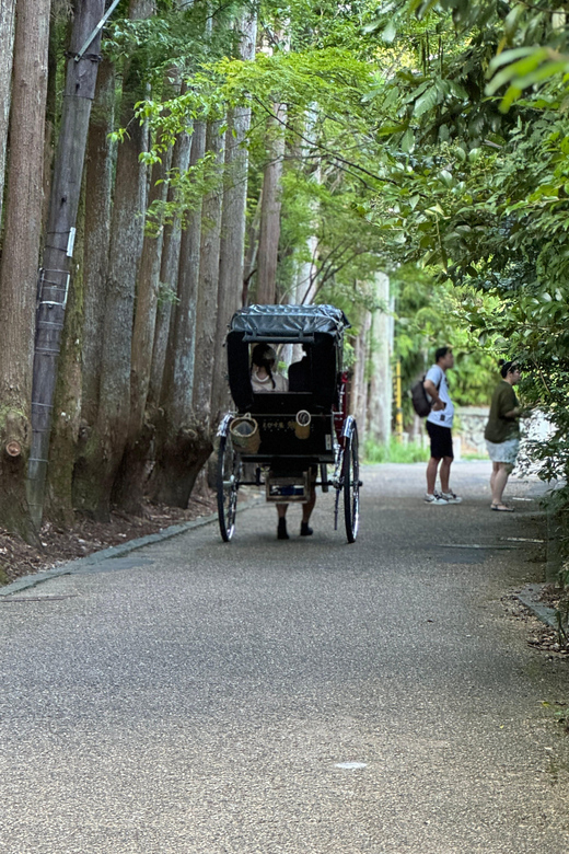 Kyoto: Avoid the Crowds at the Hidden Gems of Arashiyama - Otagi Nenbutsuji and its 1,200 stone personalities