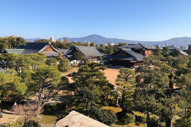 Kyoto Bamboo Forest & Golden Pavilion E-Bike Tour - Tenryu-ji’s Zen Garden