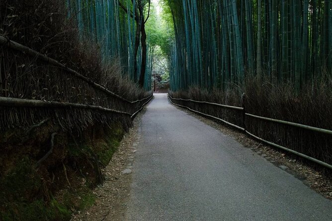 Kyoto Bamboo Forest & Golden Pavilion E-Bike Tour - Arashiyama Bamboo Forest: Beautiful, Busy, and Worth Seeing