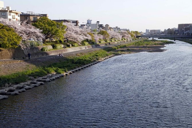 Kyoto Bar Hopping Night Tour - Key points to know before booking