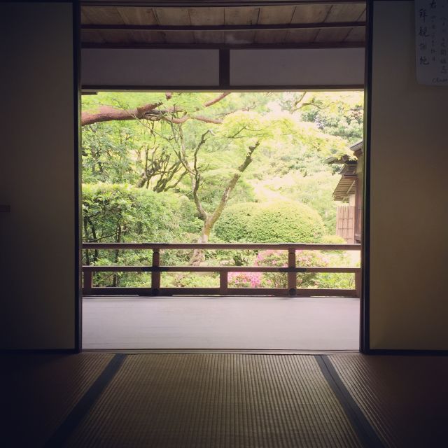 Kyoto: City Secrets eBike Tour - The Golden Pavilion: Kyoto’s famous first impression