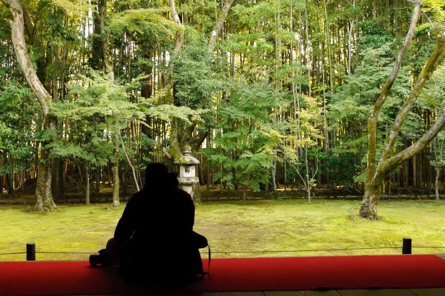 Kyoto: City Secrets eBike Tour - Geisha streets and Kyoto’s shrine of learning