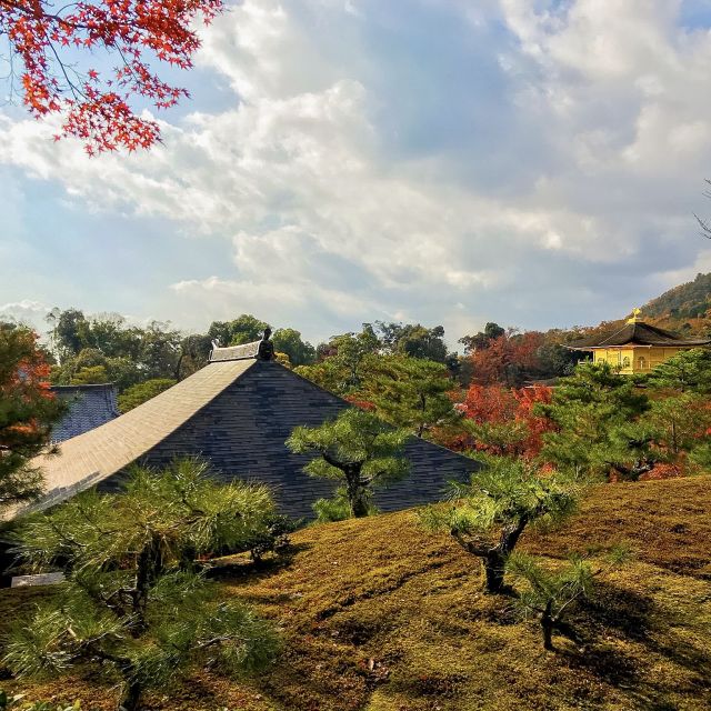 Kyoto: City Secrets eBike Tour - Who should book this Kyoto e-bike tour?
