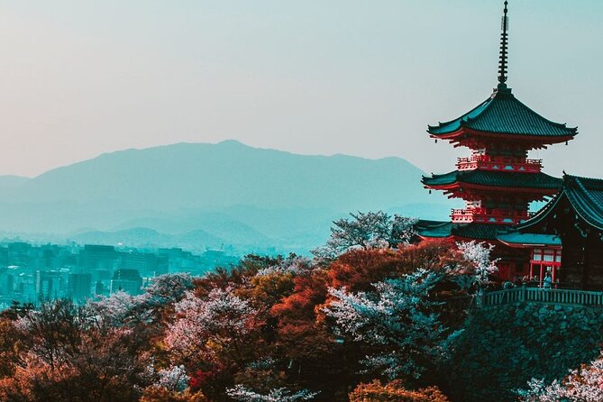 Kyoto Custom Private Walking Tour with A Guide (Private Tour) - Key points before you book