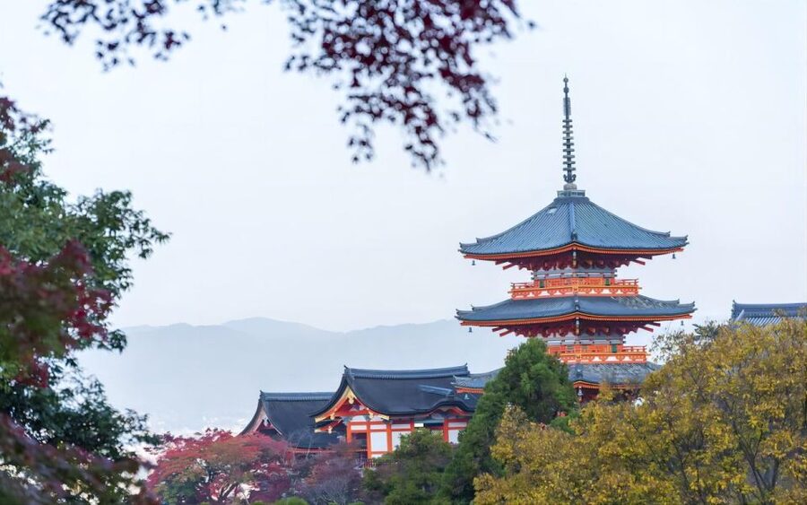 Kyoto: Customizable Full-Day Tour with Privarte Transfers - What this Kyoto day is really designed to do