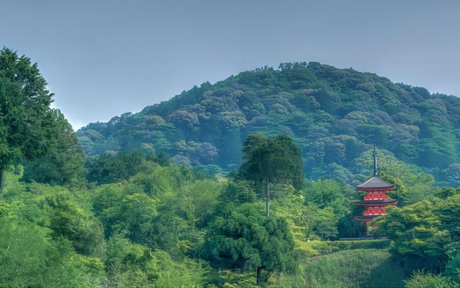 Kyoto: Customizable Full-Day Tour with Privarte Transfers - Designing a better route than the sample plan