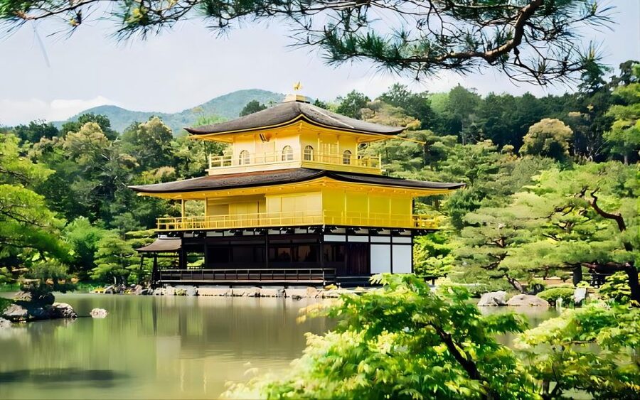 Kyoto: Customizable Full-Day Tour with Privarte Transfers - Is $234 per person good value?