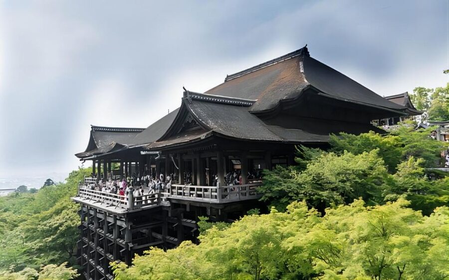 Kyoto: Customizable Full-Day Tour with Privarte Transfers - Practical details that can make or break the day