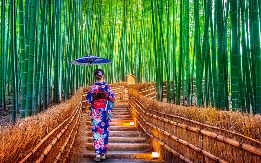 Kyoto Day Tour with Certified Tour Guide & Luxury vehicle - Why a private vehicle helps in Kyoto