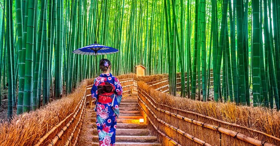 Kyoto Day Tour with Certified Tour Guide & Luxury vehicle - Kinkaku-ji: Kyoto’s famous Golden Pavilion