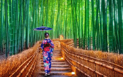 Kyoto Day Tour with Certified Tour Guide & Luxury vehicle