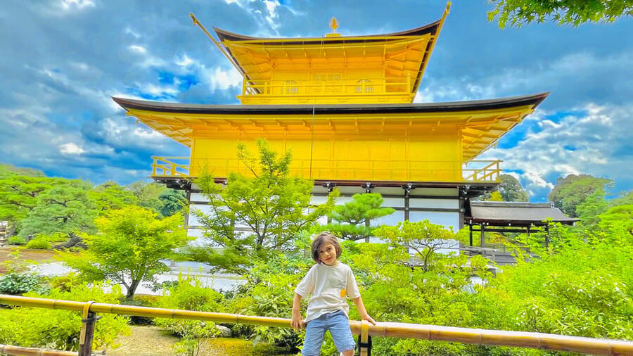 Kyoto Day Tour with Certified Tour Guide & Luxury vehicle - Fushimi Inari Taisha: thousands of gates and a steep choice