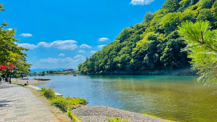 Kyoto Day Tour with Certified Tour Guide & Luxury vehicle - Nishiki Market: Kyoto flavors, shopping, and a late finish