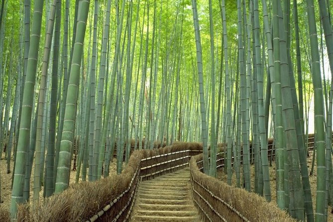 Kyoto Day Trip using Private Car with English Driver (up to 5) - Arashiyama bamboo forest: a beautiful but brief opening