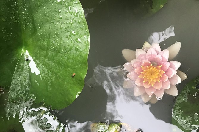 Kyoto: Descending Arashiyama (Private) - Adashino Nembutsu-ji adds a solemn note