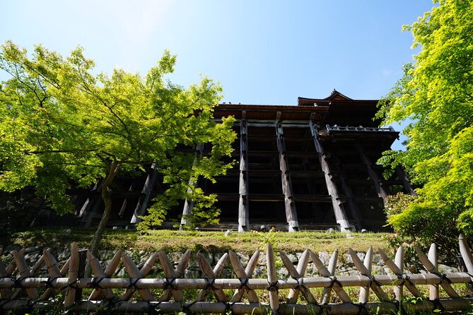 Kyoto Early Morning E Biking Tour Fushimi Inari Kiyomizu Temple - What the $67.41 price buys you