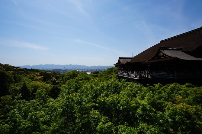 Kyoto Early Morning E Biking Tour Fushimi Inari Kiyomizu Temple - Who will get the most from this ride