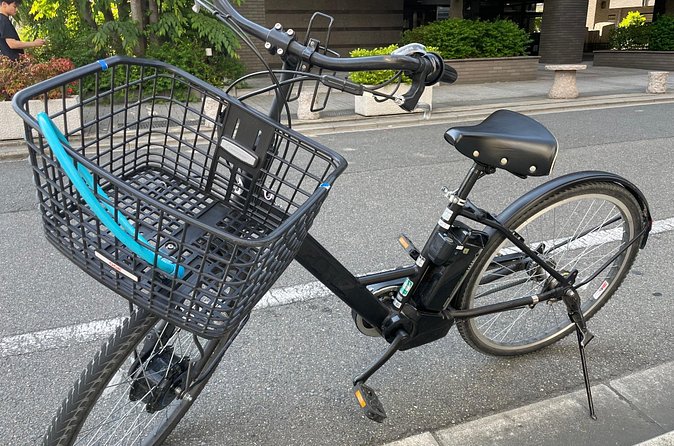 Kyoto Early Morning E Biking Tour Fushimi Inari Kiyomizu Temple - Practical tips for a smoother morning