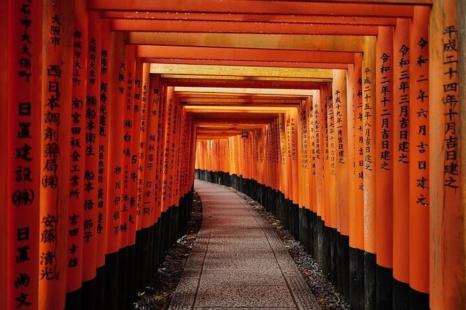 Kyoto Early Morning E Biking Tour Fushimi Inari Kiyomizu Temple - Starting at Kyoto Station with an e-bike