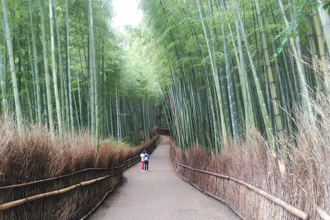 Kyoto Early Riser Platinum One-Day Walking Tour - What the private guide adds