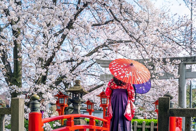 Kyoto Full Day (8 hours) Ultimate Sightseeing Private Tour - Two hours in Gion, Kyoto’s old entertainment district