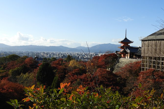 Kyoto Full Day (8 hours) Ultimate Sightseeing Private Tour - Private guiding: where the tour earns its keep
