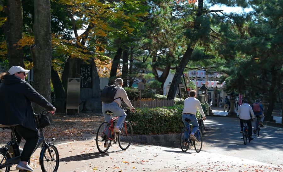 Kyoto: Full Day Bike Tour - Why the back streets matter