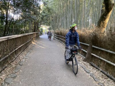 Full-Day City Highlights Bike Tour with Light Lunch