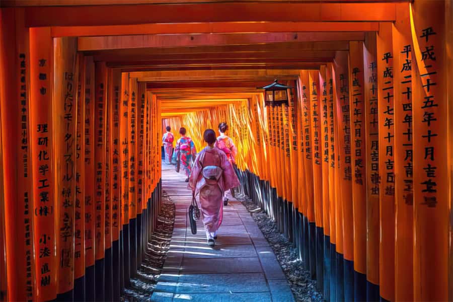 Kyoto: Fushimi, Arashiyama - Bamboo, Monkey, Torii & Secrets - Key details to know before booking