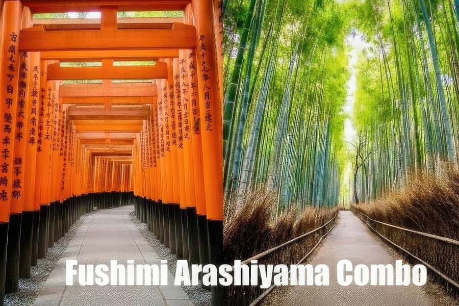 Kyoto: Fushimi, Arashiyama - Bamboo, Monkey, Torii & Secrets - Starting beneath Fushimi Inari’s red torii