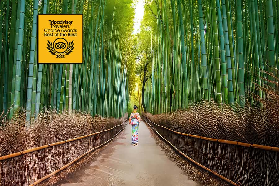 Kyoto: Fushimi, Arashiyama - Bamboo, Monkey, Torii & Secrets - Arashiyama’s bamboo paths and the crowd factor