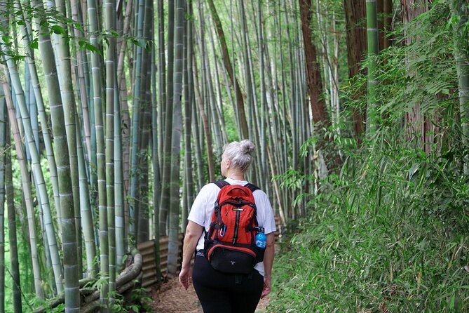 Kyoto: Fushimi Inari Hidden Hike (Private) - Bamboo groves, torii gates, and quieter mountain paths