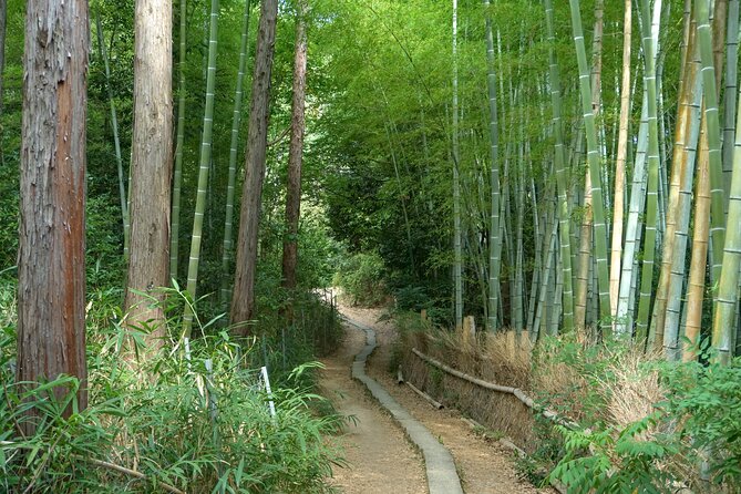 Kyoto: Fushimi Inari Hidden Hike (Private) - Reaching the Senbon Torii and main shrine
