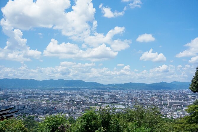 Kyoto: Fushimi Inari Hidden Hike (Private) - What the private guide adds