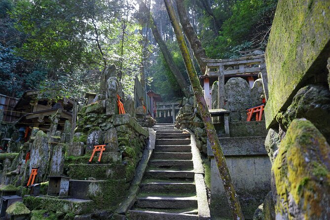 Kyoto: Fushimi Inari Hidden Hike (Private) - Meeting near Tofukuji at 8:30 a.m.