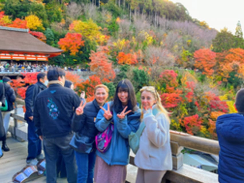 Kyoto: Fushimi Inari, Kinkakuji, Bamboo Grove 1 Day Bus Tour - Fushimi Inari and thousands of red torii gates