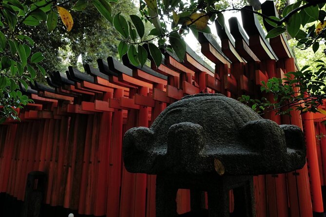 Kyoto Fushimi-Inari Night Walking Tour - The main drawbacks to consider