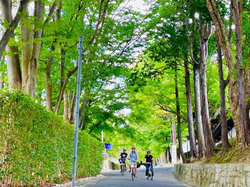 Kyoto: Fushimi Inari Shrine and Tofukuji Temple E-Bike Tour - Why an e-bike works well in Kyoto