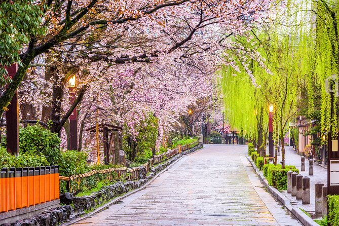 Kyoto Geisha District Walking Tour in Gion - Gion’s narrow lanes and the realities of geiko culture