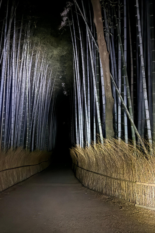 Kyoto: Ghost Tour - Legends, Dark Tales, Bamboo Forest Night - One hour among the bamboo stalks