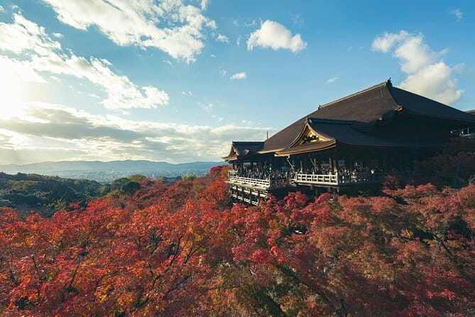 Kyoto Gion Early Morning Walking Tour - Why the early start matters in Gion