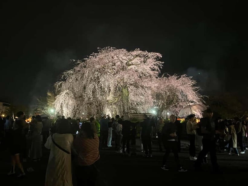 Kyoto: Gion Walking Tour - Yasaka Shrine and the origin of Gion