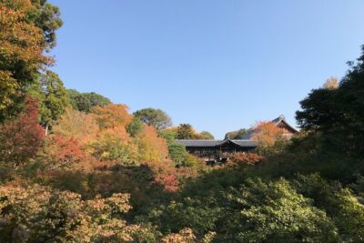 Kyoto Guided Walking Tour: Secret Zen Garden and Fushimi Inari